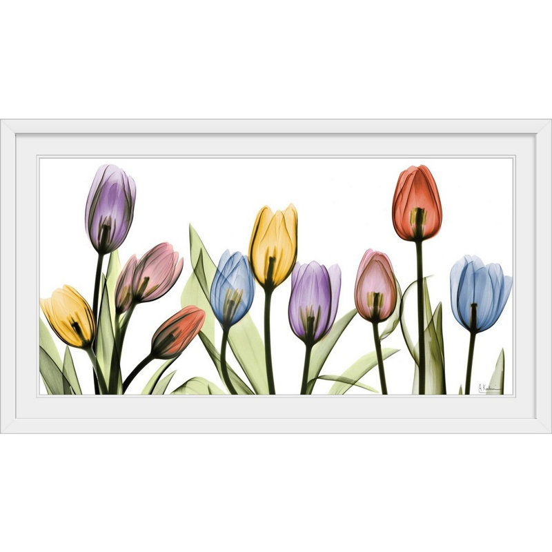 Tulipe - imprimé, H 32 po x l 56 po x P 1 po, Cadre blanc