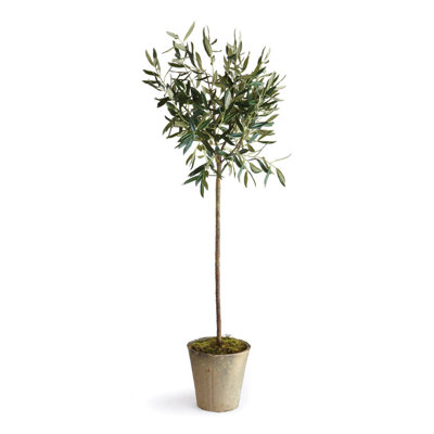 Conservatory Faux Olive Tree Tree in Ceramic Pot