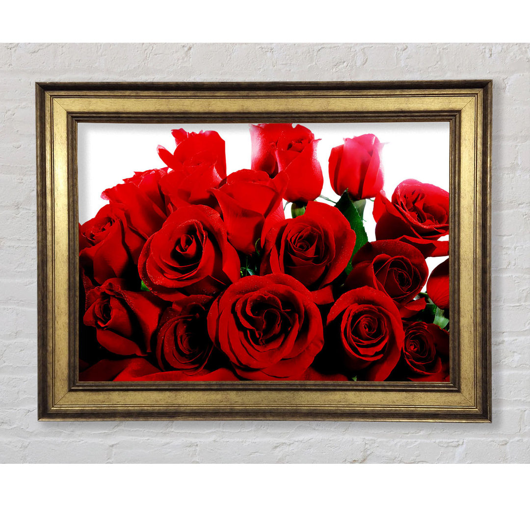 Bouquet Of Red Roses - Einzelner Bilderrahmen Kunstdrucke