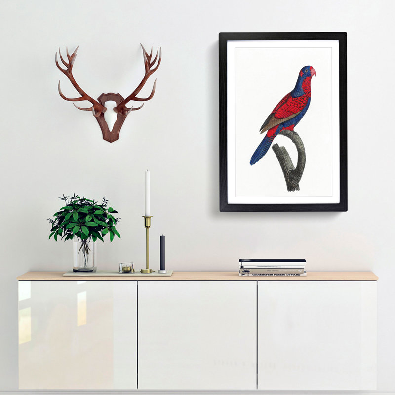 Red-and-Blue Lory by F. Levaillant - Picture Frame Painting Print, 65cm H x 48cm W x 2cm D, Black Framed