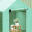 4 Ft W x 6 Ft D Mini Greenhouse