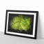 Leaf Roads Paint Splash - Picture Frame Graphic Art-56865279-56865285