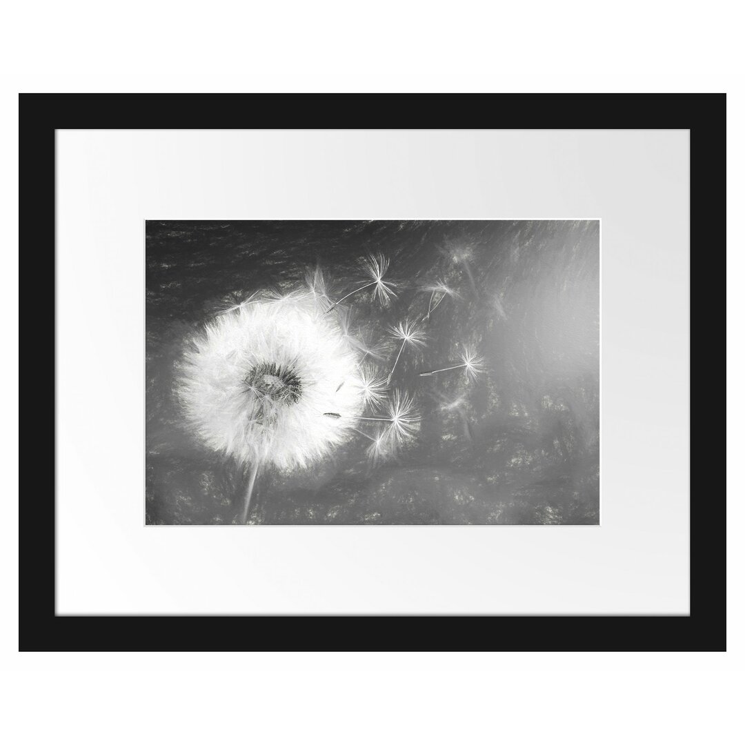 Gerahmtes Poster Dandelion Seeds