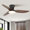 Fan Body Finish