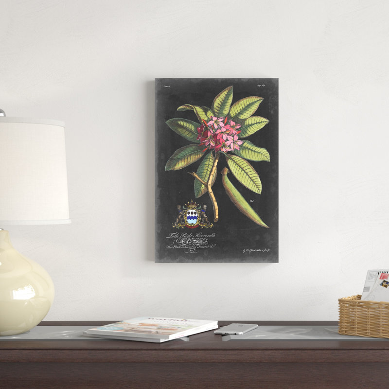 Dramatique royal botanique V, H 18 po x l 12 po x P 1,25 po