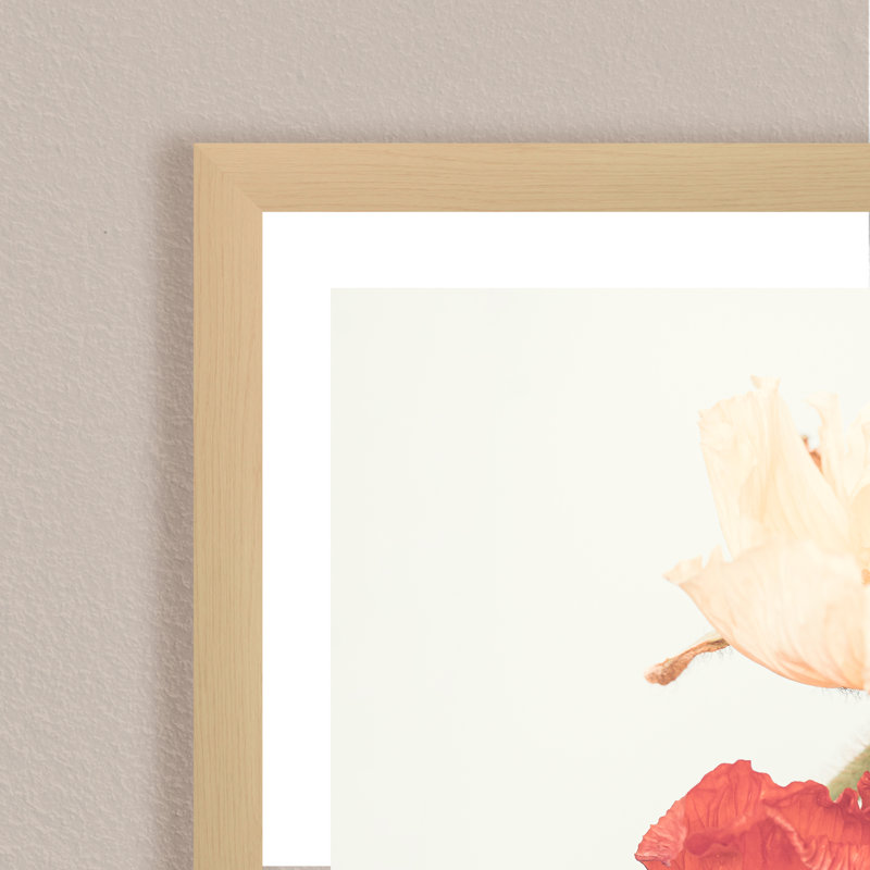 Nature Inspired Poppies by  - Picture Frame Photograph on Paper, 36" H x 24" W x 1.125" D, Brown, Framed Matted Print