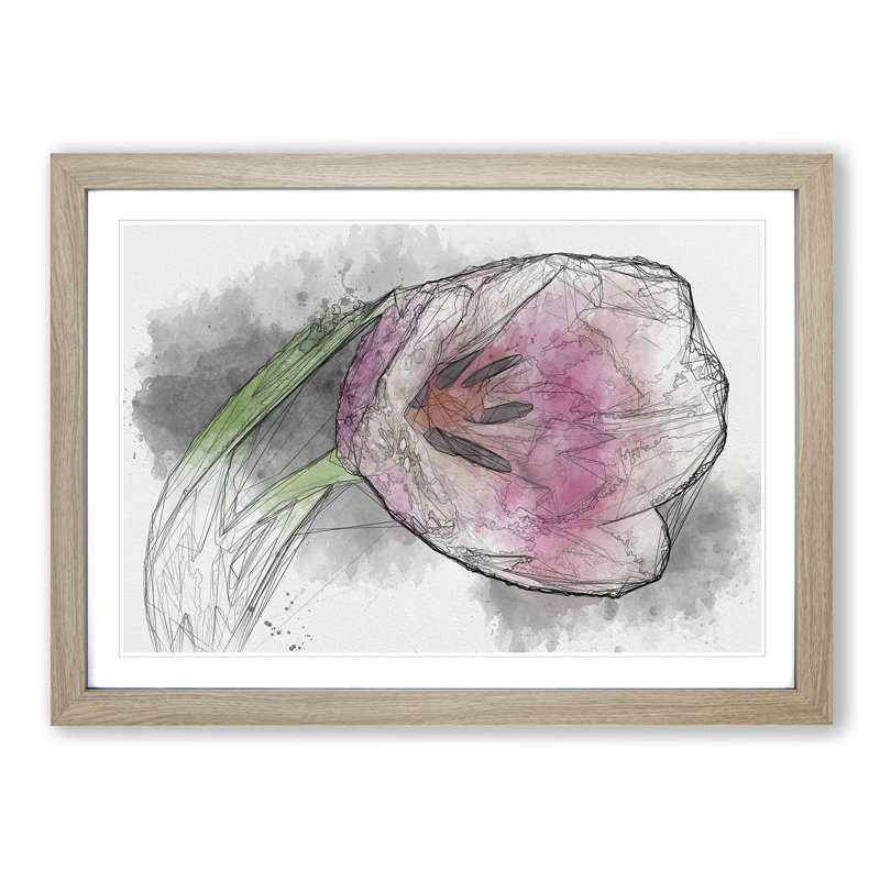 Pink Tulip Sketch - Picture Frame Graphic Art Print, 40cm H x 60cm W x 2cm D, Oak Framed