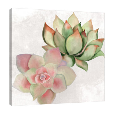 " Succulent Summer 2 " by Kimberly Allen