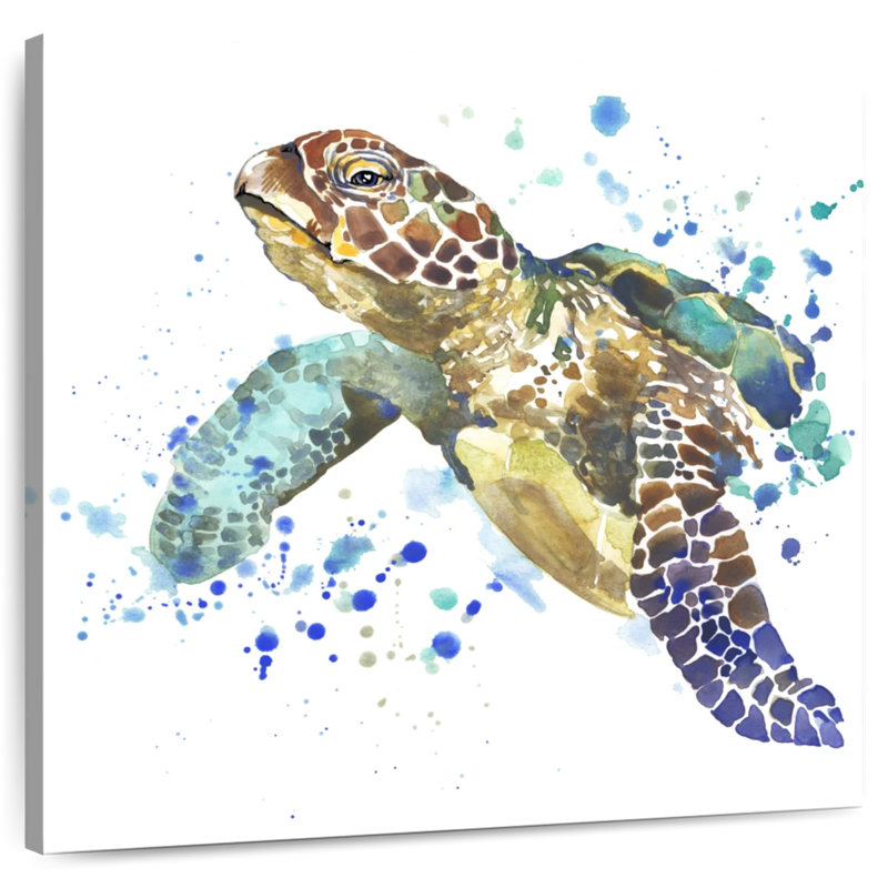 Tortue de mer Brampt