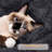 Daughtry 64.5" H Multi-Level Cat Tree-871946476