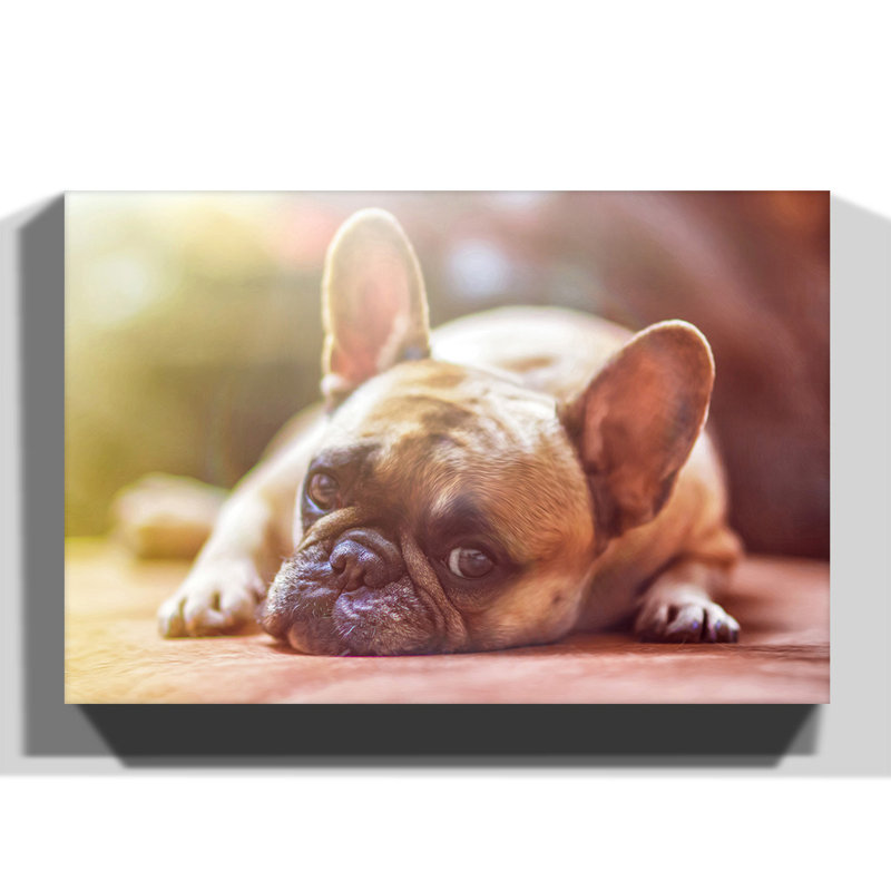 Wrapped Canvas Print, 50cm H x 76cm W