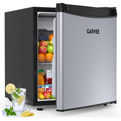 FXSGER Mini Fridge