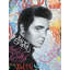 Elvis - Wrapped Canvas Painting