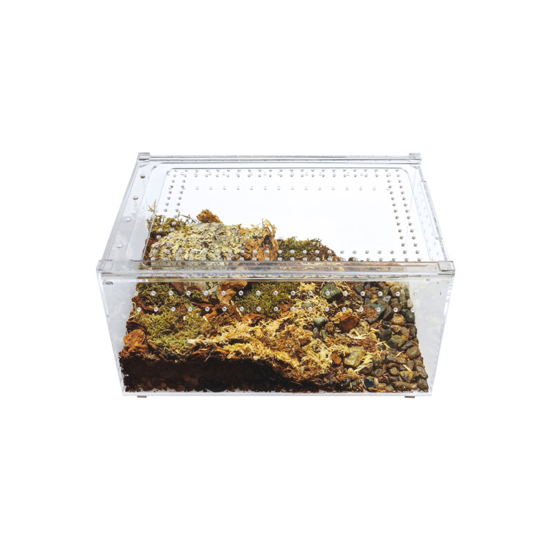 Acrylic Reptile Terrarium, 3 Gallon - 6"H x 8"W x 12"D