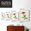 «Pretty Pink Botanicals II», reproduction encadrée - bois massif-858878176-858878183
