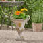 DELPHINE URN-152893721