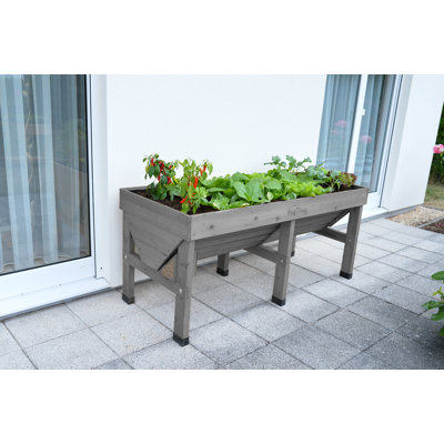 Medium Classic VegTrug - Gray Wash