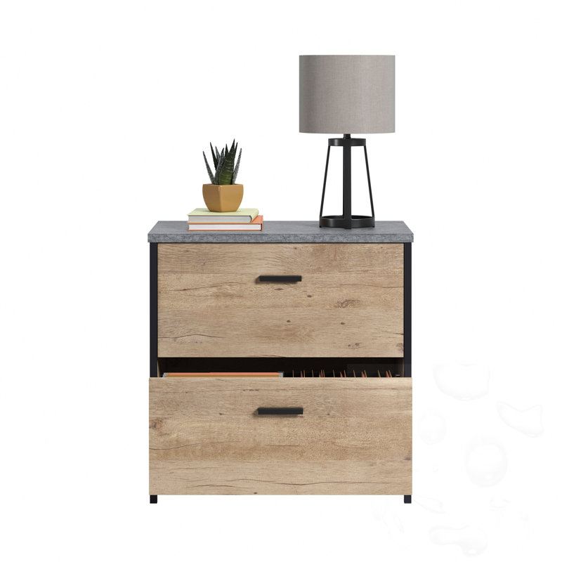 Office Cabinet with 2 Drawers