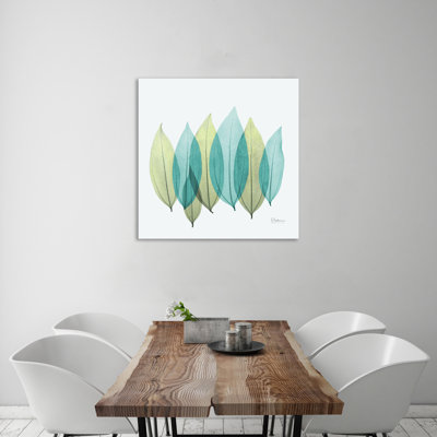 Manigault 'Coculus Leaf X-Ray by Kiranjit Photographic Print