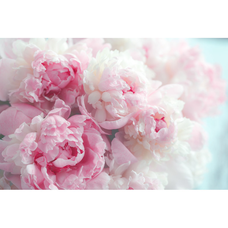 Fluffy Pink Peonies Flowers Background by Smiltena - Wrapped Canvas Print, 30cm H x 46cm W x 3.8cm D