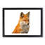 Geometric Red Fox in Abstract - Framed Print-55726940-55726942