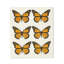 Ensemble de 2 débarbouillettes papillon Monarch