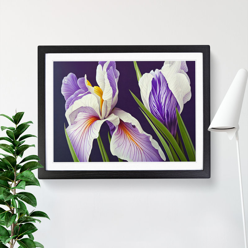 Stunning Iris Flowers - Single Picture Frame Print, 25cm H x 34cm W x 2cm D, Black