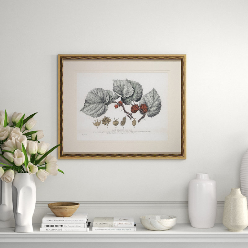 Black Mulberry Print