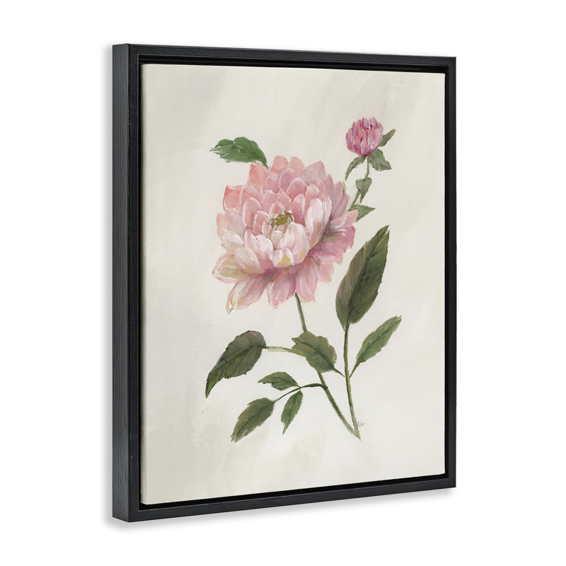 Single Pink Dahlia Bloom, Jet Black Floater Frame, 21" H x 17" W