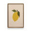 «Simple Lemon I» par Garima Dhawan, reproduction d'art-253796330-253796328