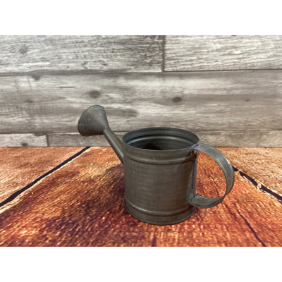 Mini Watering Can