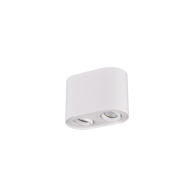Dewitt LED Flush Mount