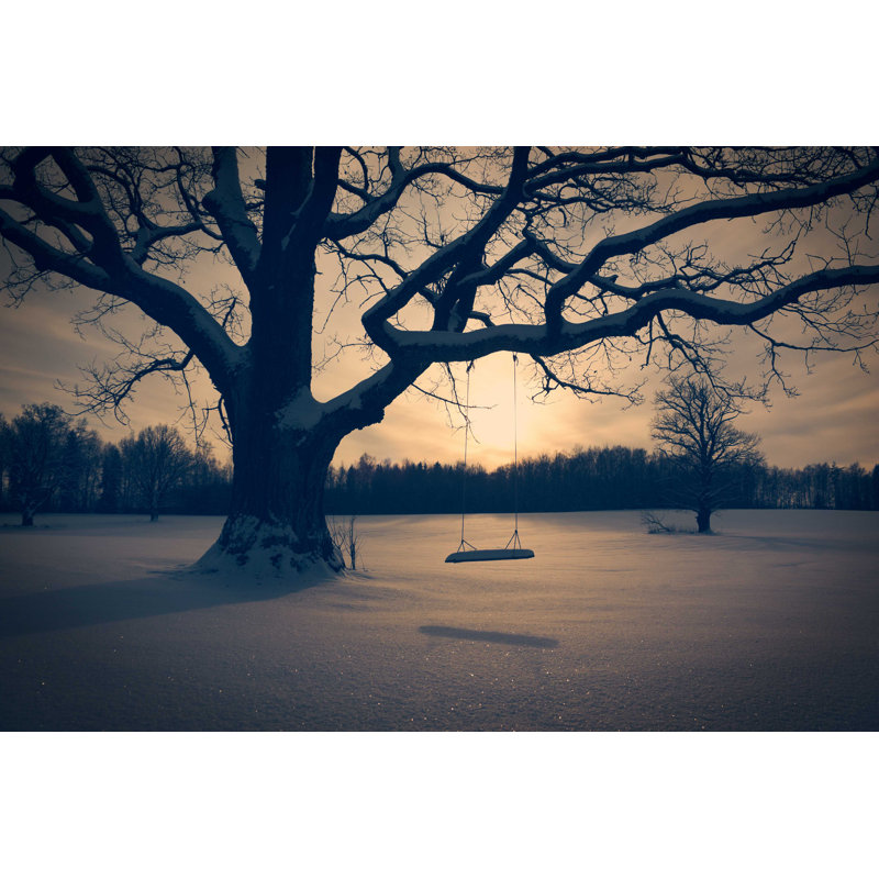 Abandonné dans un arbre par Brickrena - photographie sur toile tendue, L 36 po x H 24 po