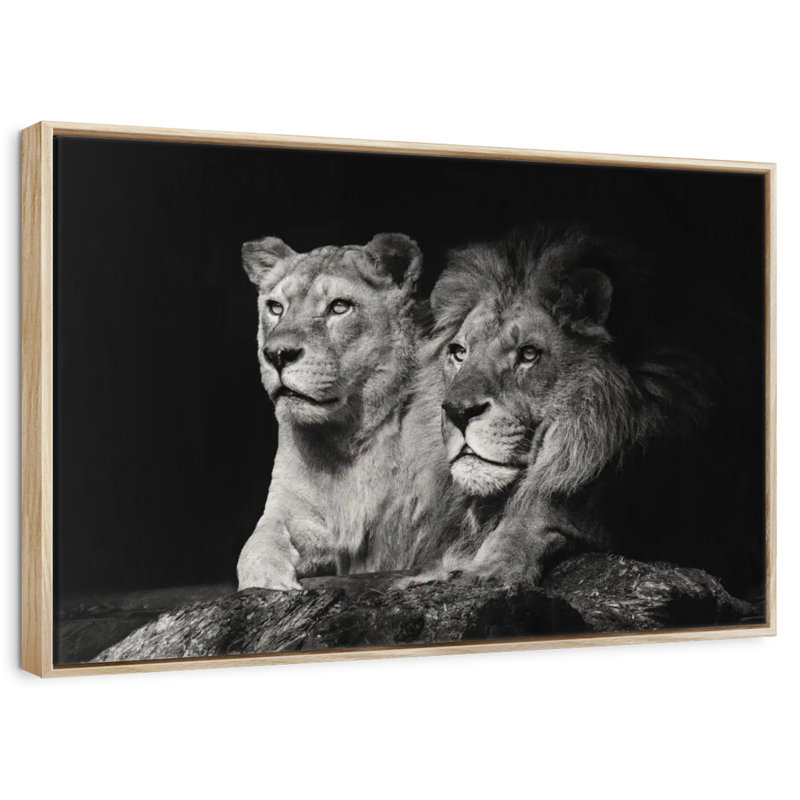 Lion And Lioness Mates, 19" X 13", Floating Frame Natural Wood