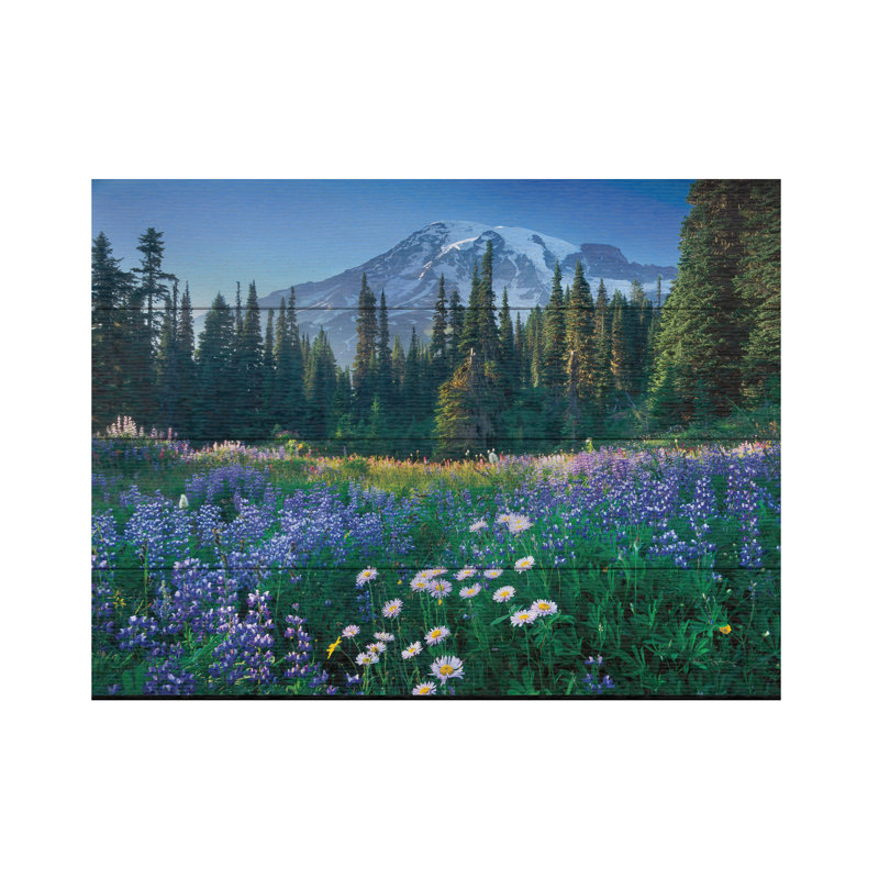 «Rainier» par Alan Majchrowicz, L 16 po x H 12 po
