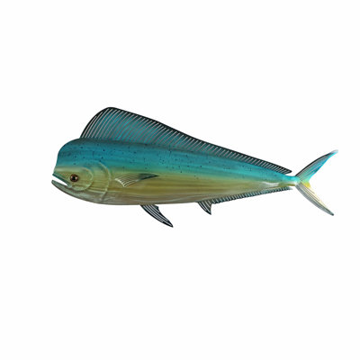 Mahi Mahi