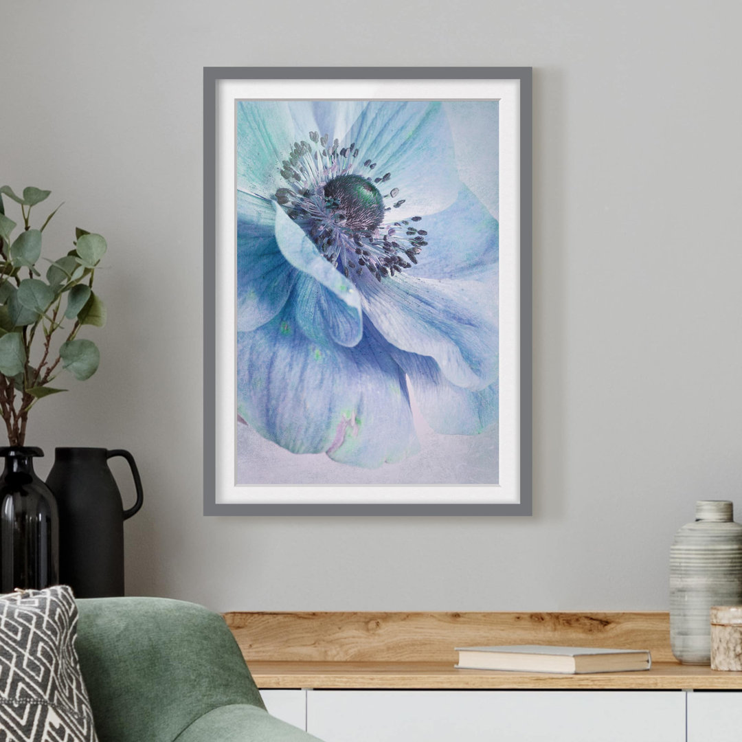 Gerahmtes Poster Blossom in Turquoise