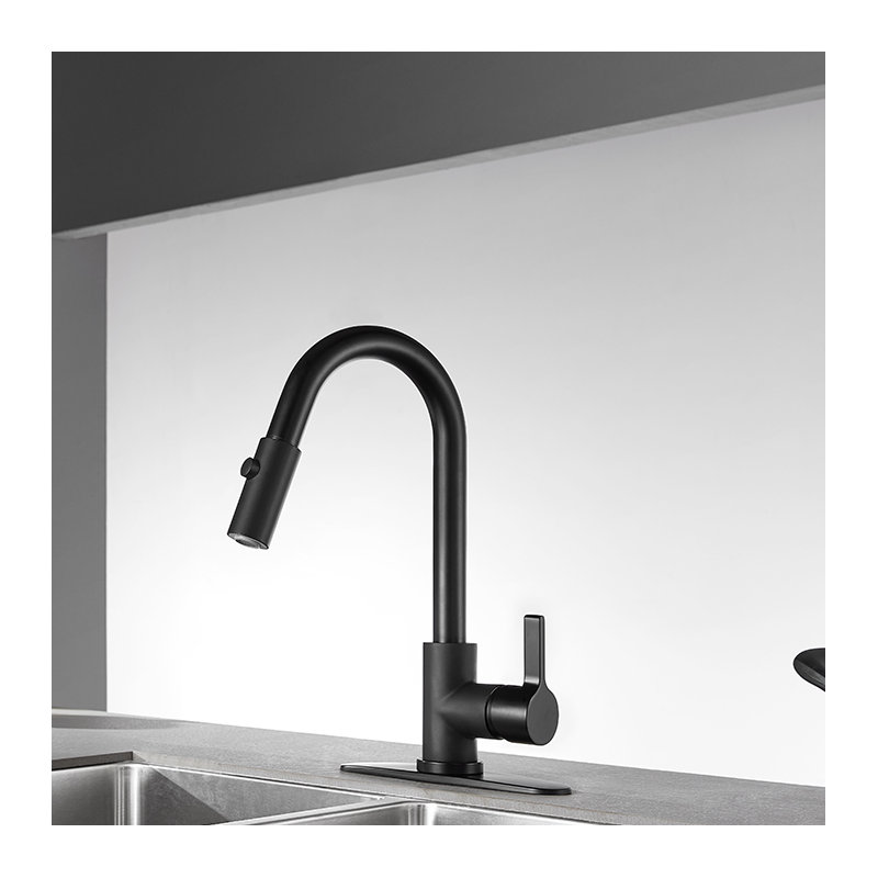 Kingston Brass Continental Single-Handle Pull-Down Kitchen Faucet, Matte Black