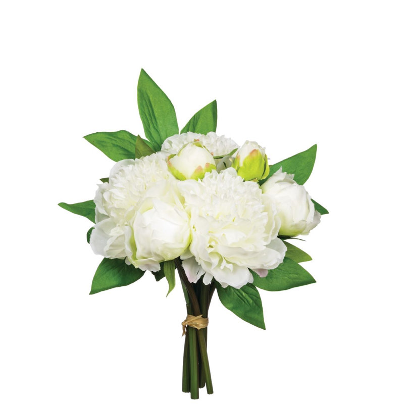 Pivoines, Blanc