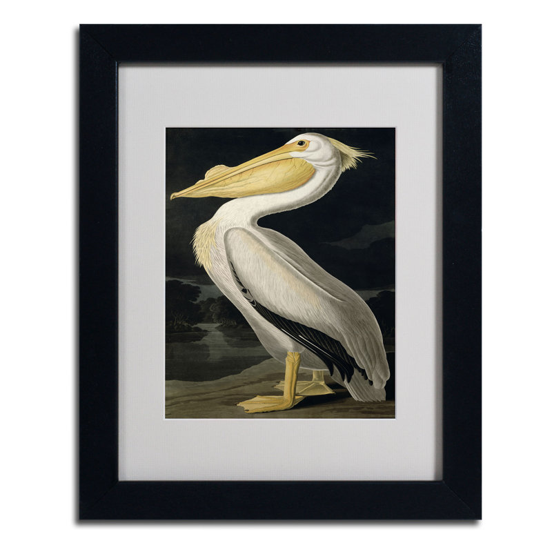 Art mural encadré - Décoration murale John James Audubon «American White Pelican» avec cadre mat - Art du salon, de la cuisine et de la salle de bain - 11 x 14