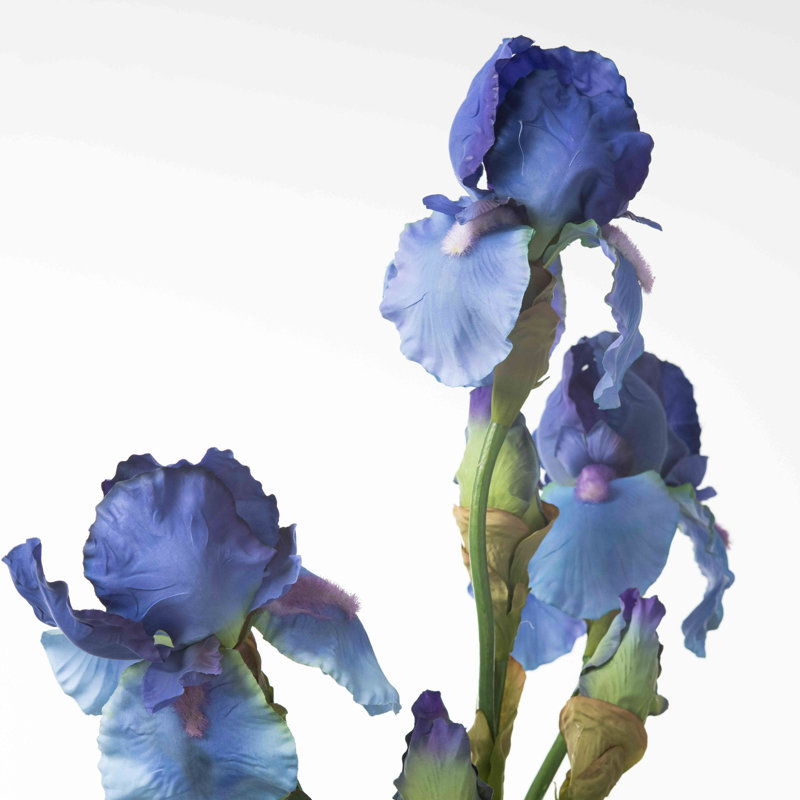Arrangement floral Iris dans un vase