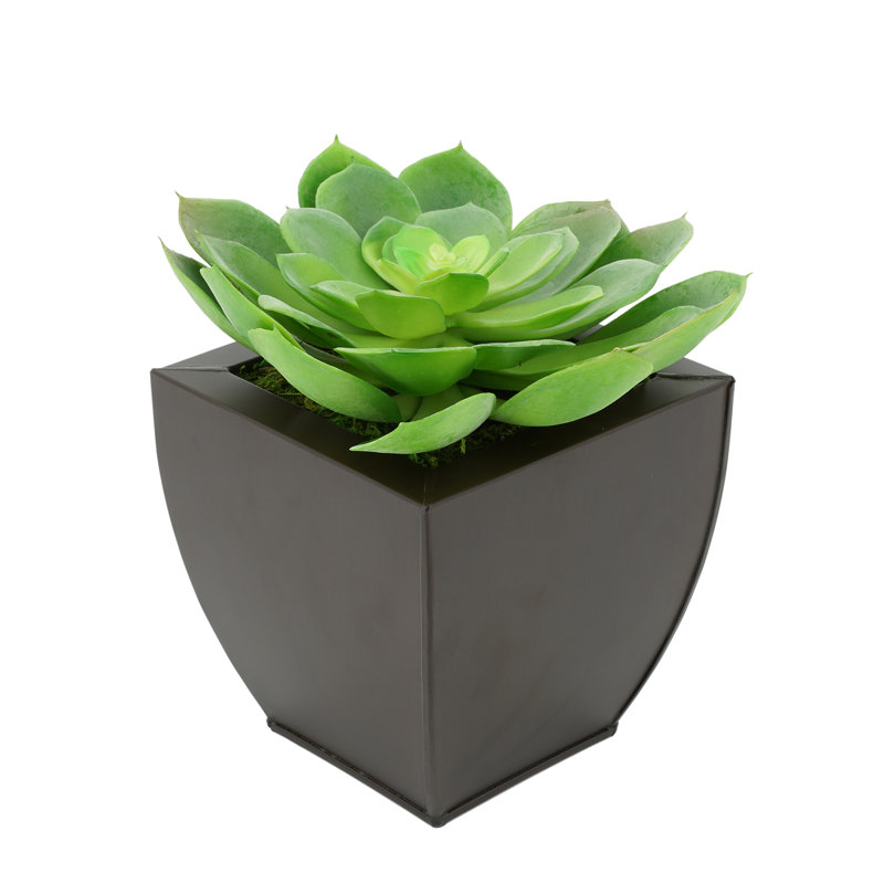 8.5'' Faux Succulent in Metal Pot, Matte Brown