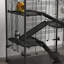 Hamster Cage-108204420