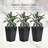 Set Of 3 Tall Planters With Drainage Hole, Outdoor Flower Pots, Indoor Planters For Porch, Front Door, Entryway, Patio And Deck-55140465