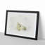 Resting Arctic Fox in Abstract - Picture Frame Graphic Art Print-55778478-55778481