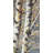 Budding Birches - Framed Canvas for Living Room Decor