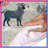 Zodiac Astrology Comforter-1514436667