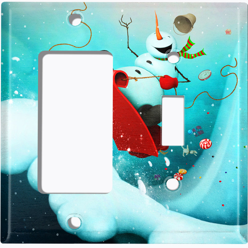 2 - Gang Combination Standard Wall Plate