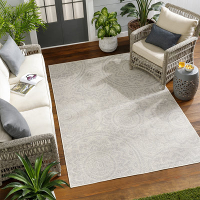 Ashfaq Area Indoor/Outdoor Rug