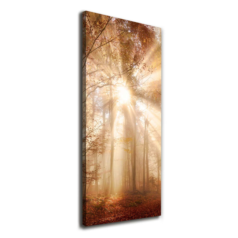 Autumn Forest - Wrapped Canvas Print